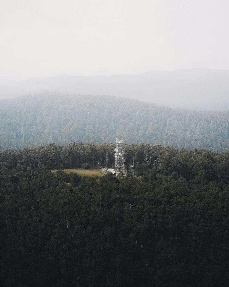 Aerial view of a telecommunications tower amidst the Toolangi forest in Victoria, Australia under misty conditions.