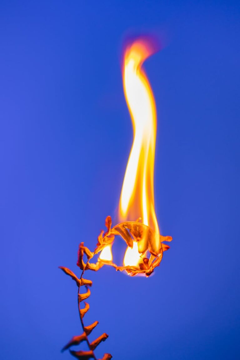 A vibrant flame consuming a dry fern against a bright blue background, symbolizing warmth and energy.