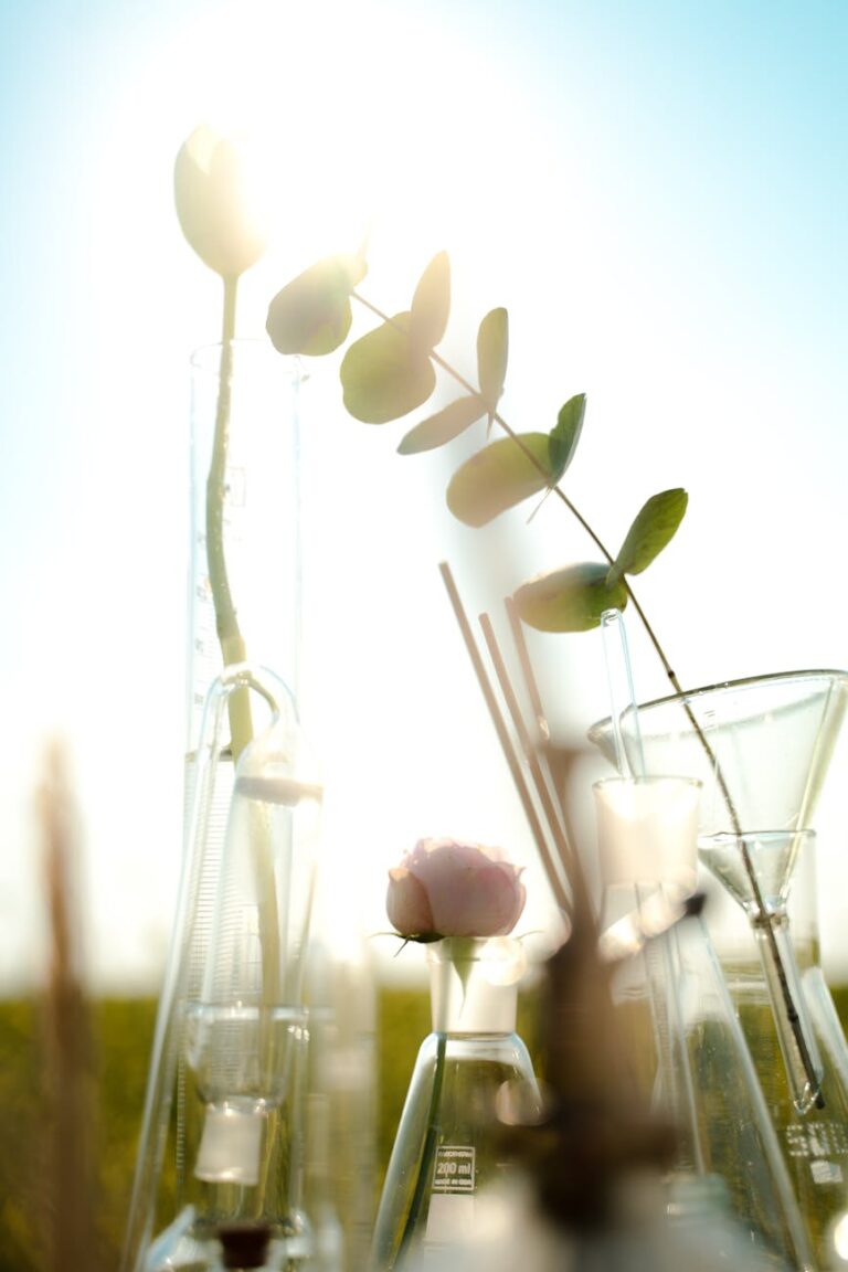 A vibrant fusion of nature and science with plants in glass flasks set against a sunny outdoor backdrop.