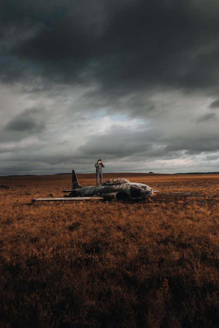 A lone person stands on a weathered plane under dramatic skies.