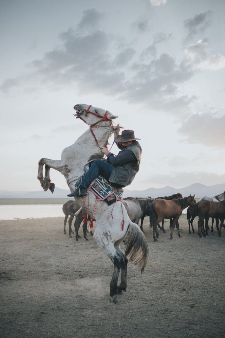 A cowboy skillfully rides a rearing horse outdoors, evoking a Wild West ambiance.