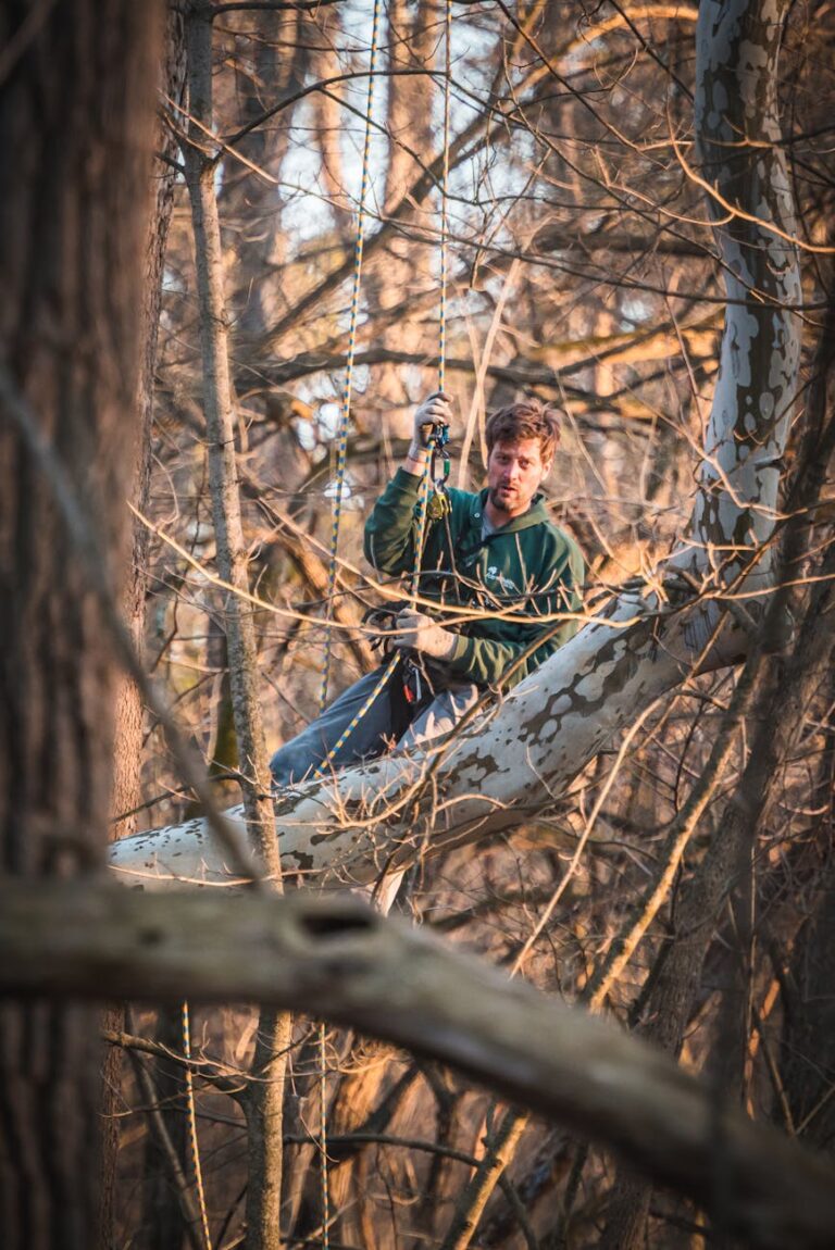 Caucasian man climbing a tree in a dense forest, harnessed for safety.