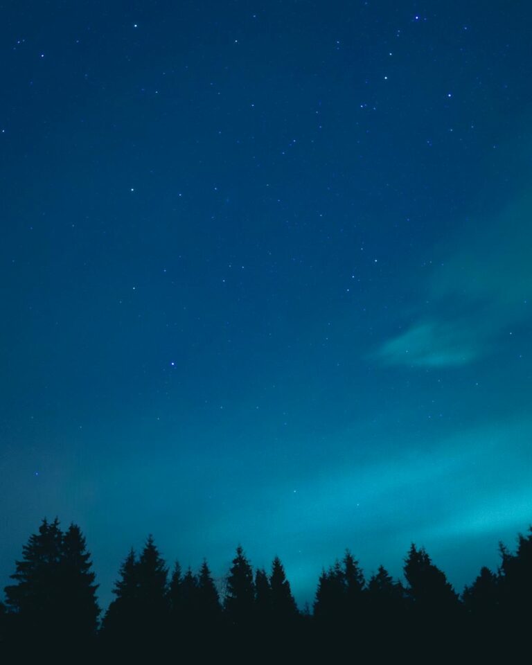 A serene night sky filled with stars and tree silhouettes creating a peaceful scene.