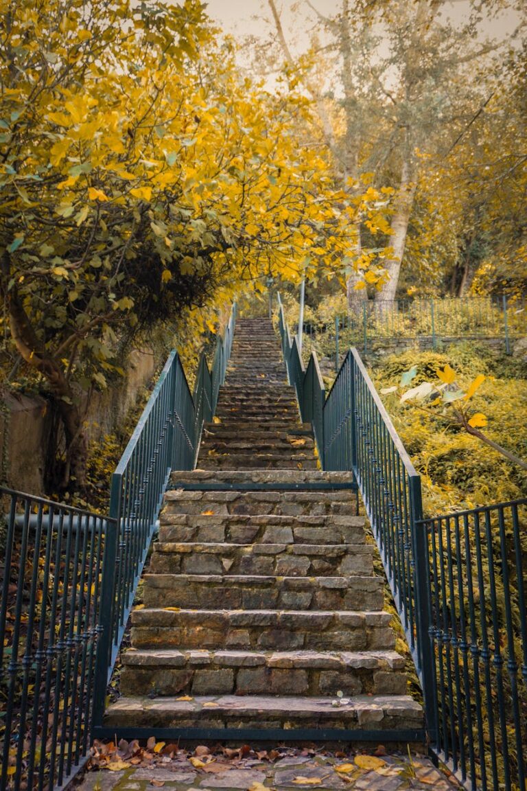 Picturesque stone stairway surrounded by vibrant autumn foliage in a serene woodland setting.