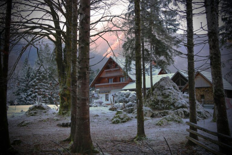 A serene snowy cabin surrounded by trees in a Slovenian winter landscape.