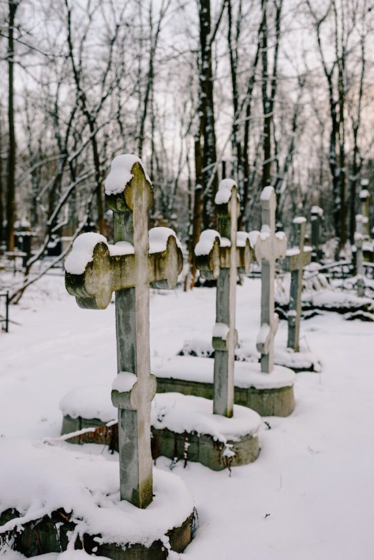 A serene winter scene with snow-covered crosses in a forest cemetery.