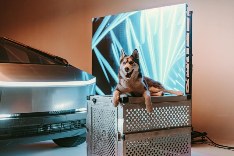 A Siberian Husky resting on a durable crate next to a futuristic cybertruck with LED backdrop.