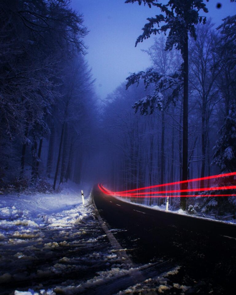 Misty night road with red light trails through snow-covered German forest.
