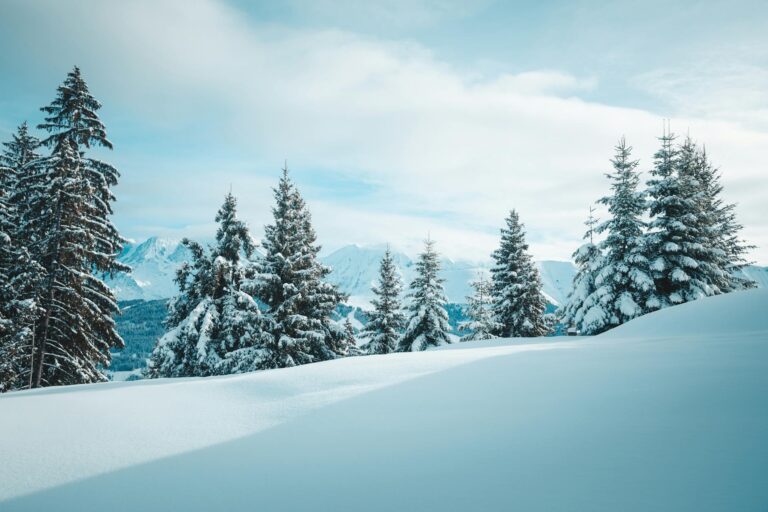 Tranquil winter scene of snow-covered trees in Megève, France amidst the Alps.