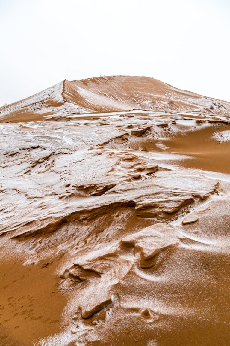 A captivating sandy dune covered in frosty patterns, showcasing nature's unique beauty.