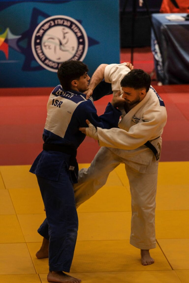 Free stock photo of action sports, determination, ippon