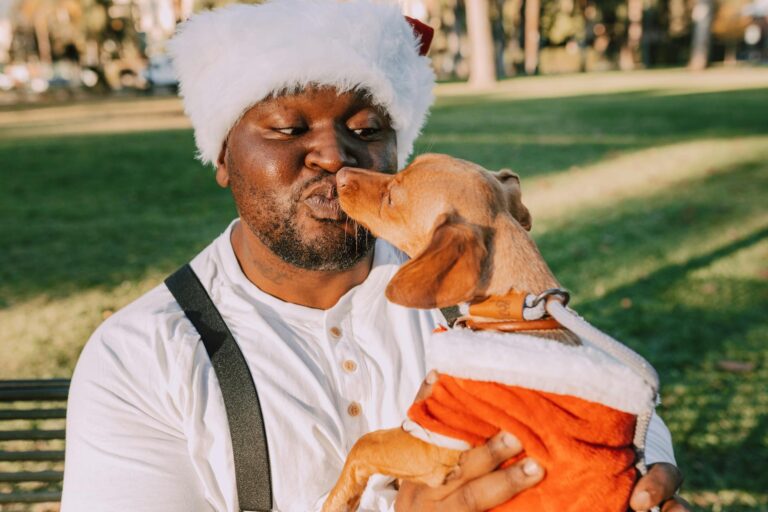 A man in a Santa hat shares a playful moment with a dog dressed in a Santa outfit in a sunny park.