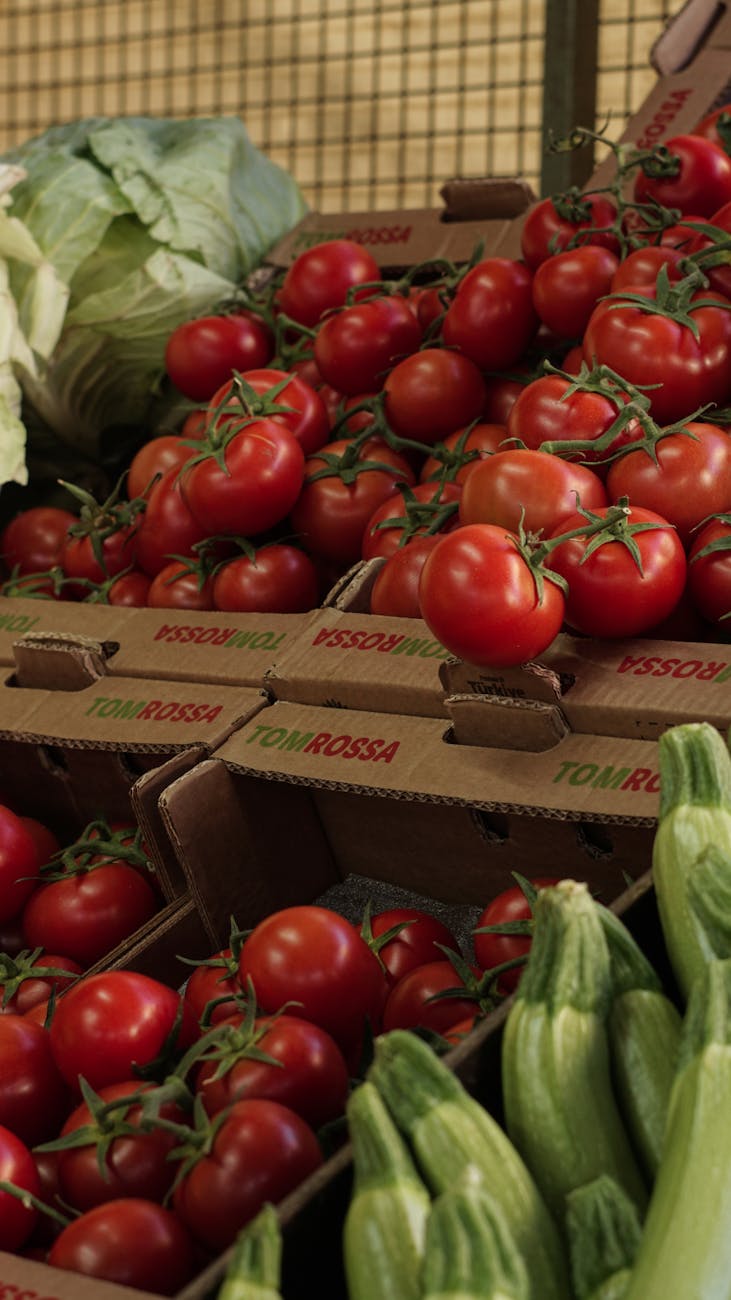 A vibrant display of fresh tomatoes, squash, and cabbage at a local farmers market.