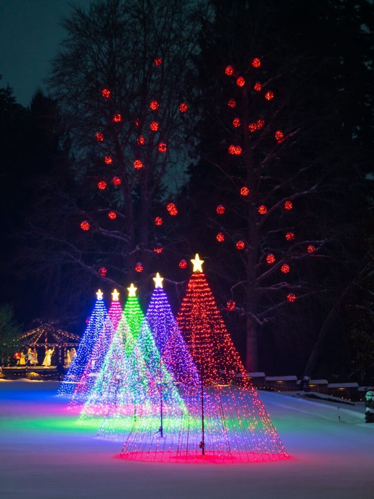 Vibrant Christmas lights in a snowy outdoor scene with colorful illuminated trees under a night sky.