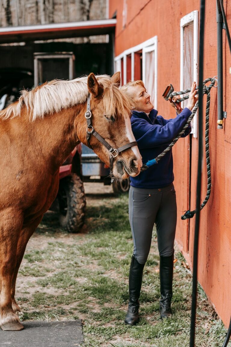 A woman grooming a horse at an outdoor stable with blue skies and greenery.