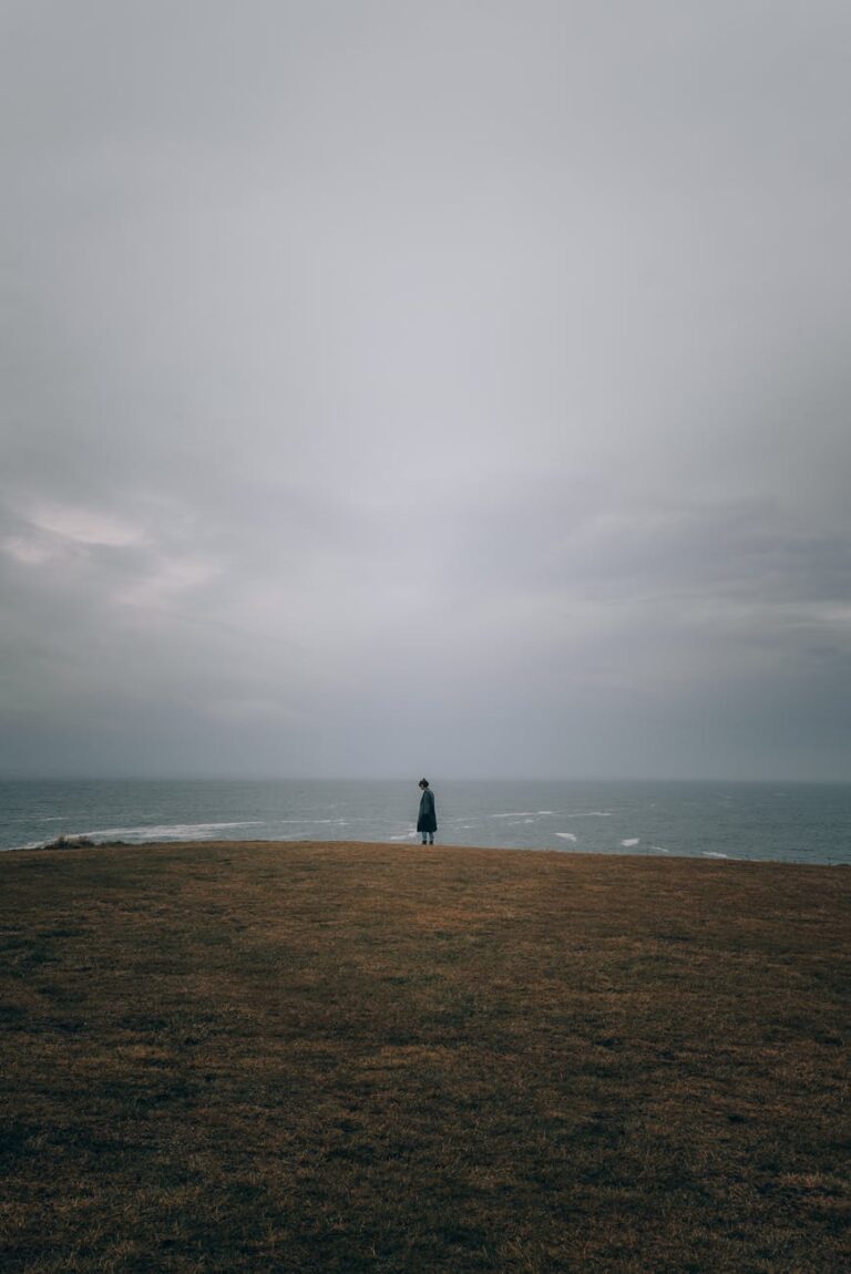 A lone figure stands on a cliff by the sea under a moody sky.